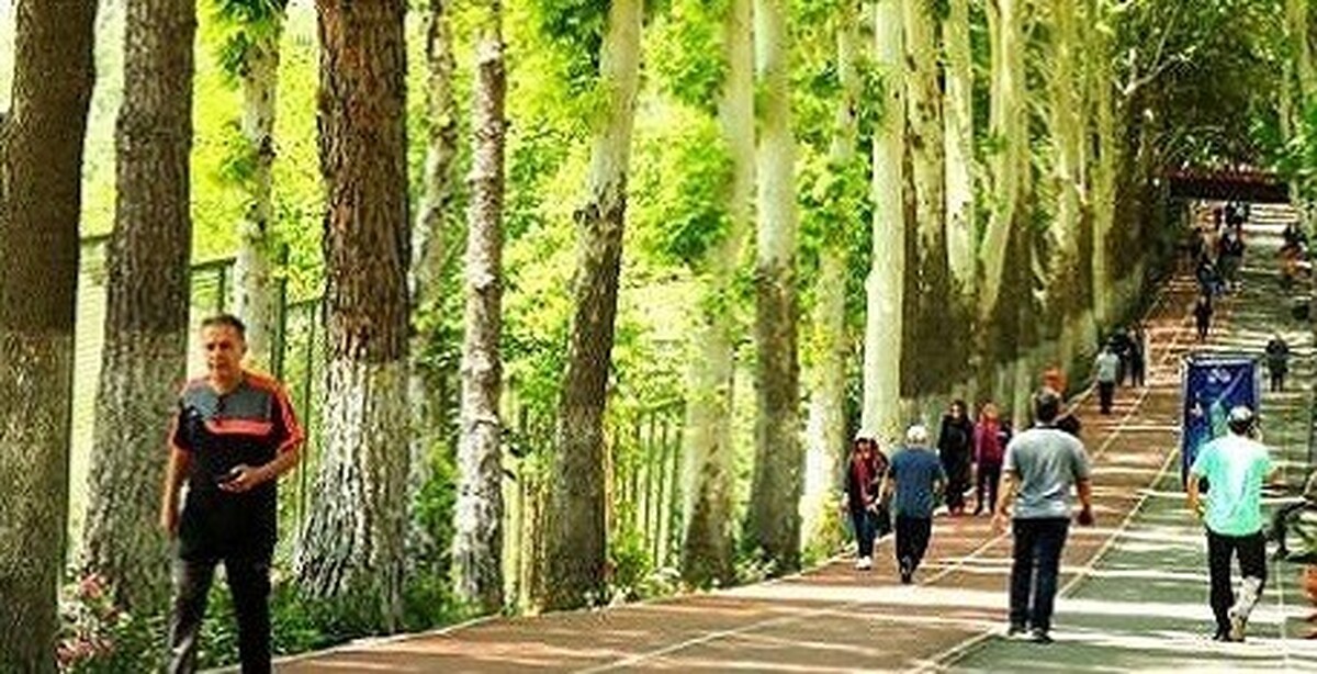 اگر به دنبال یک روش ساده، کم‌هزینه و مؤثر برای کاهش چربی شکم هستید، پیاده‌روی می‌تواند بهترین نقطه شروع باشد.