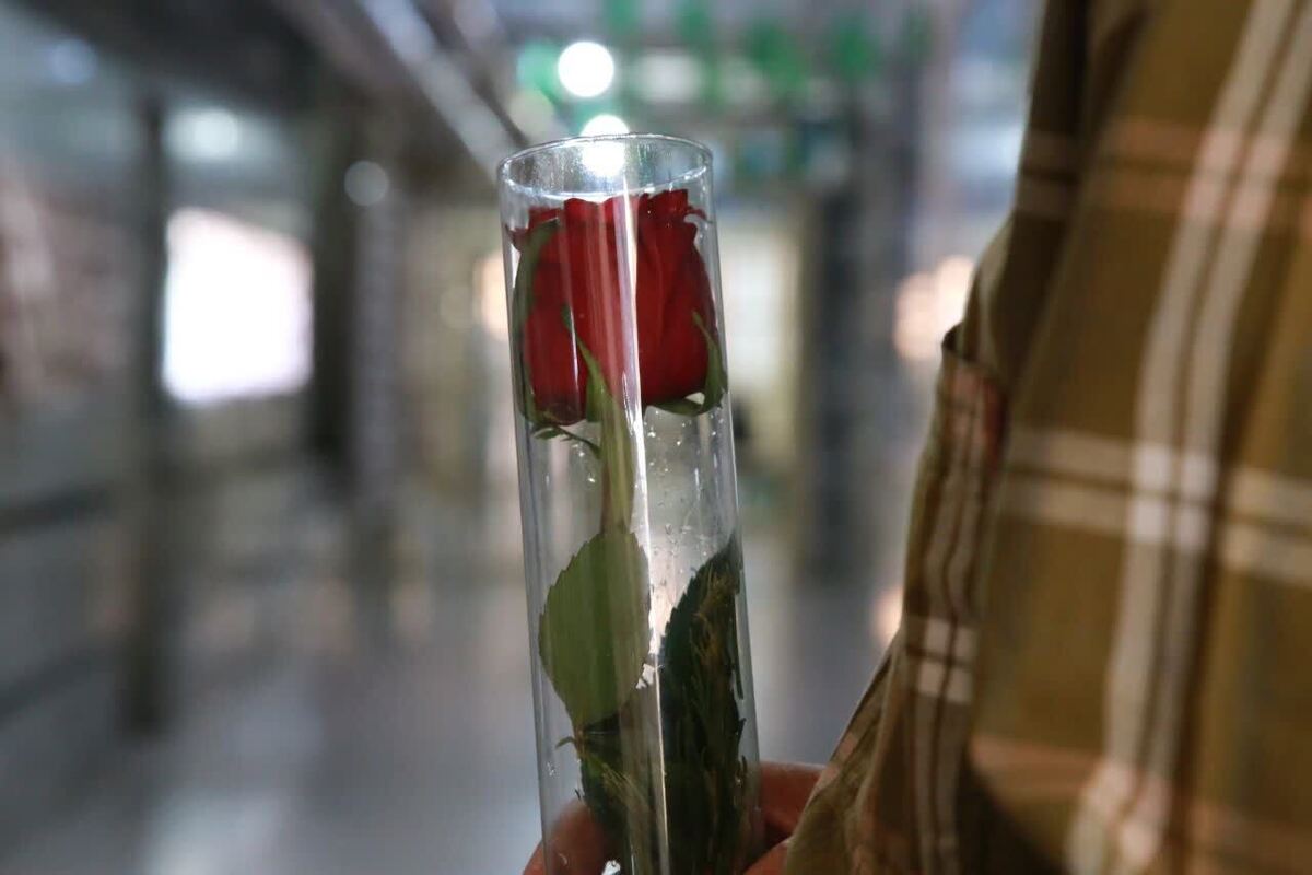 مدیر کل زندان ها و اقدامات تامینی و تربیتی استان قزوین از آزادی یک زندانی جرایم مالی با 52 میلیارد ریال بدهی با گذشت شاکی خبر داد.