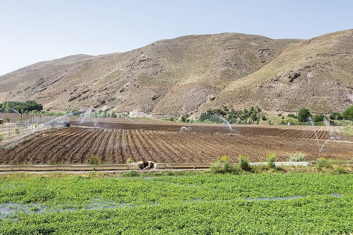 طرح ملی سامانه گرمسیری ایلام، پروژه‌ای زیرساختی و تحول‌آفرین و یکی از بزرگ‌ترین پروژه‌های توسعه منابع آب‌و‌خاک ایران است که با‌هدف مهار آب‌های مرزی و هدایت آن به‌سمت زمین‌های کشاورزی استان‌های غربی به اجرا درآمده.