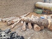 کشف محموله قاچاق چوب در کرج