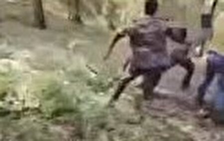 ببینید | حمله به جنگلبانان آملی با داس و تبر