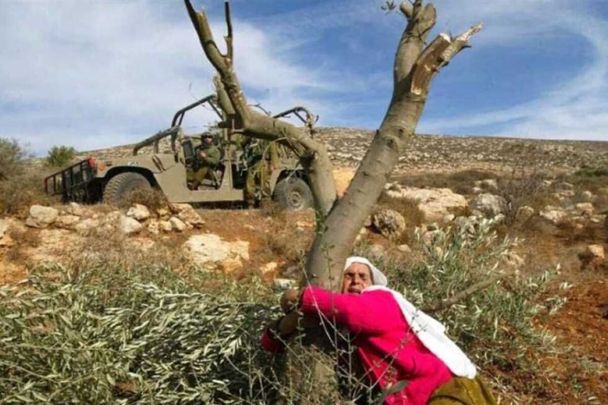 یک عضو ارشد جنبش حماس با تاکید بر اینکه جنایات اشغالگران در کرانه باختری به سطح جنایات جنگی میرسد خواستار اقدام فوری نهادهای بینالمللی حقوق بشری برای ثبت و مستندسازی جنایات شهرکنشینان و تحت تعقیب قرار دادن اشغالگران شد.