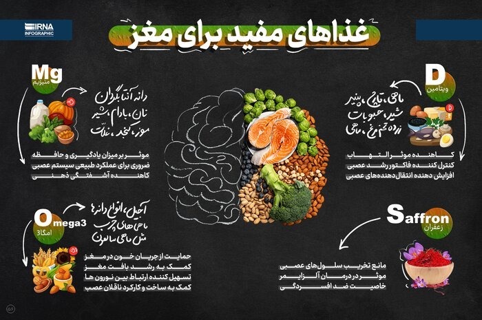 مغز مردان زودتر تحلیل میرود مغز مردان زودتر تحلیل میرود