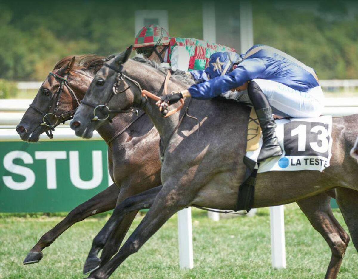 برای نخستین‌بار، مالک و تولیدکنندگان ایرانی حضوری چشمگیر در مسابقات معتبر گروه ۳ فرانسه مخصوص اسب‌های سه ساله خواهند داشت.