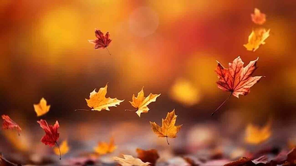 با وتاه‌شدن روزهاوکم‌شدن نورآفتاب،بعضی‌هادچارتغییرخلق و بی‌انگیزگی می‌شوند. این حالت اگر طولانی شود،«افسردگی فصلی»نام دارد؛ اختلالی شناخته‌شده در روانپزشکی که باآگاهی و اقدام به‌موقع قابل پیشگیری ودرمان است.