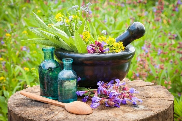 مدیریت آلرژیهای پاییزی دانشآموزان مدیریت آلرژیهای پاییزی دانشآموزان