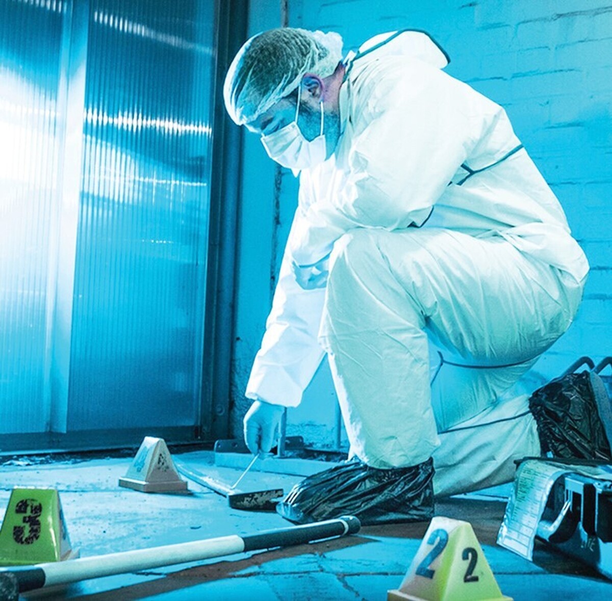 قتل‌های خانوادگی جزئی از آسیب‌های اجتماعی و رفتارهای خشونت‌آمیز است که در جوامع در حال توسعه، بیش از جوامع توسعه‌یافته دیده می‌شود. این نوع قتل میان خویشاوندان سببی، نسبی یا یکی از اعضای خانواده، با انگیزه‌ها و زمینه‌های گوناگون رخ می‌دهد.