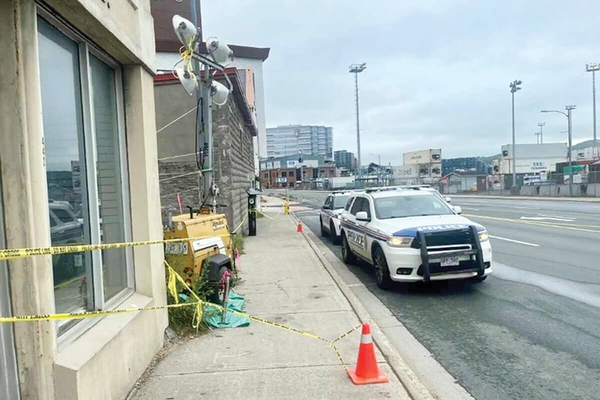 قتل ایرانیان در کانادا موضوع خبرهایی است که هرازگاه در رسانه‌ها داغ، پرونده‌ای درباره‌اش تشکیل و رسیدگی به آن انجام می‌شود. البته این موضوع در کشورهای دیگر هم سابقه دارد اما وقوع آن در کانادا در رتبه نخست قرار داشته و با دیگر کشورها فاصله زیادی دارد. براساس آمار غیر رسمی حدود ۴۰۰ هزار ایرانی در کانادا ساکن هستند که برخی از کارشناسان تعداد بالای ایرانی‌ها در این کشور را یکی از دلایل افزایش آمار قتل ایرانیان در این کشورمی‌دانند.