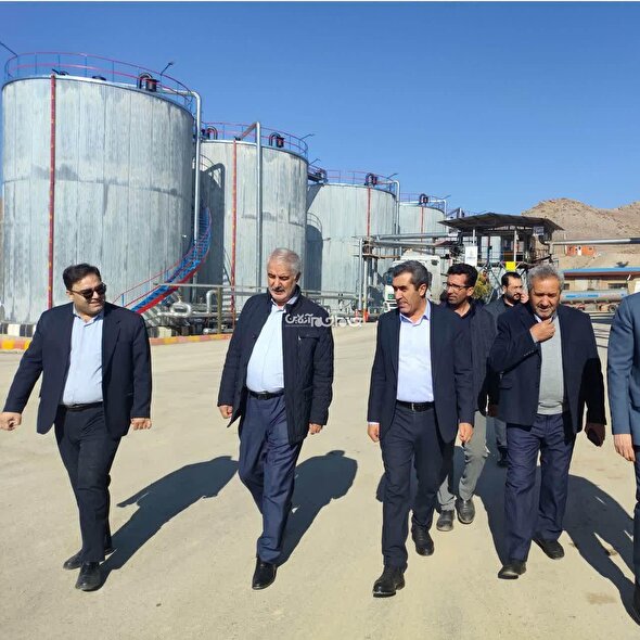 هم افزایی بخش دولتی و خصوصی در دستور کار است