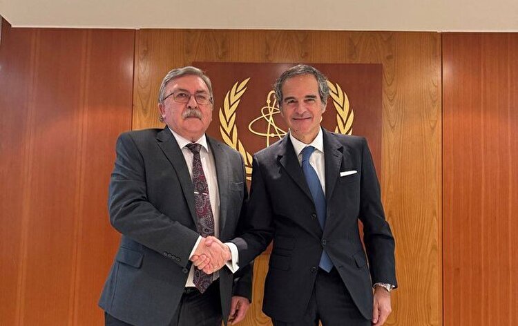 رایزنی اولیانوف با گروسی درباره برنامه هسته‌ ای ایران