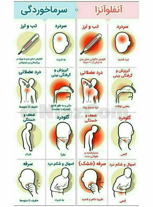 تفاوت آنفلوآنزا با سرماخوردگی و آلرژی تفاوت آنفلوآنزا با سرماخوردگی و آلرژی