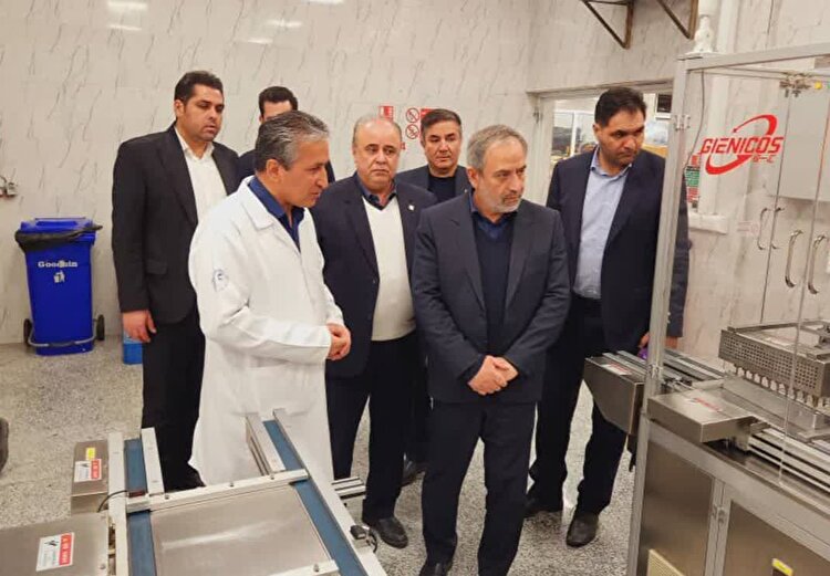 شهرک صنعتی کاسپین، پیش‌ران توسعه تولید و اشتغال