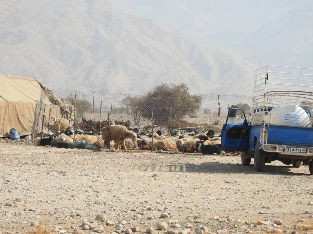 چوب حراج بر سر مراتع راهدار چوب حراج بر سر مراتع راهدار