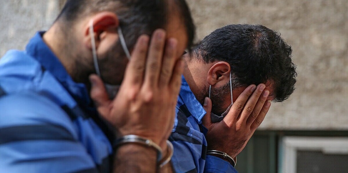 جانشین رئیس پلیس فتا فراجا از شناسایی و دستگیری متهمان حرفه‌ای فعال در زمینه کلاهبرداری رایانه‌ای از طریق شبکه اجتماعی تلگرام خبر داد.