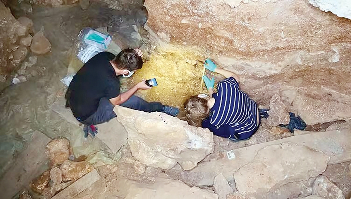 در دو دهه گذشته، پیشرفت‌های فناوری در استخراج و توالی‌یابی DNA باستانی باعث انقلابی در بازسازی گذشته شده؛ مثلا کشف این‌که چگونه نئاندرتال‌ها و انسان‌های مدرن با هم بوده‌اند یا چگونه نسل حیوانات منقرض ‌شده یا مسیر مهاجرت گروه‌های انسانی مختلف به شکلی تداوم یافته است.