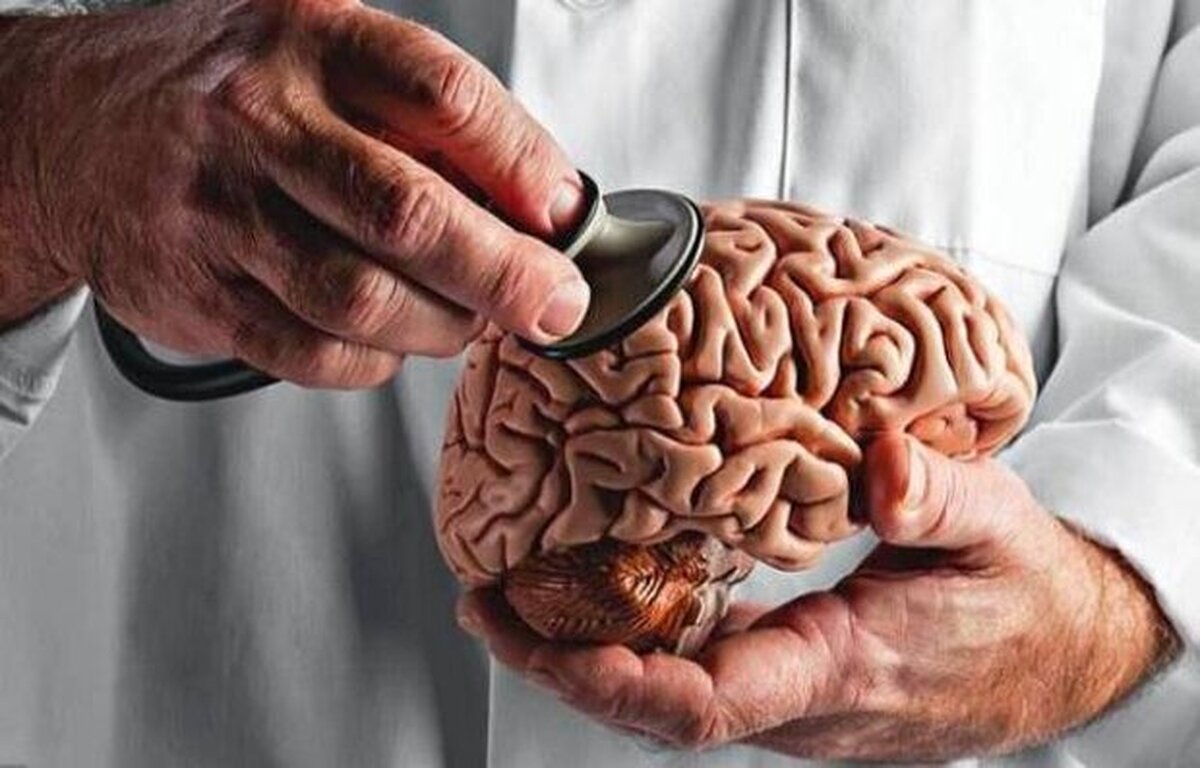 یک مطالعه جدید نشان می‌دهد که بدن‌ها و عضلات متناسب‌تر می‌توانند مغز را نیز جوان و متناسب نگه دارند.