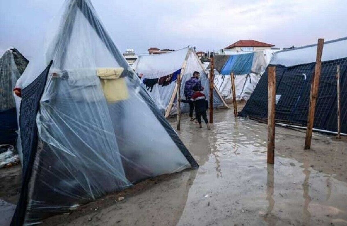 صندوق حمایت از کودکان سازمان ملل «یونیسف» با اشاره وقوع طوفان و بارش باران‌های سیل آسا در نوار غزه هشدار داد که جان بیش از ۸۰۰ هزار نفر در نوار غزه در معرض خطر است و نیمی از آنها کودک هستند.