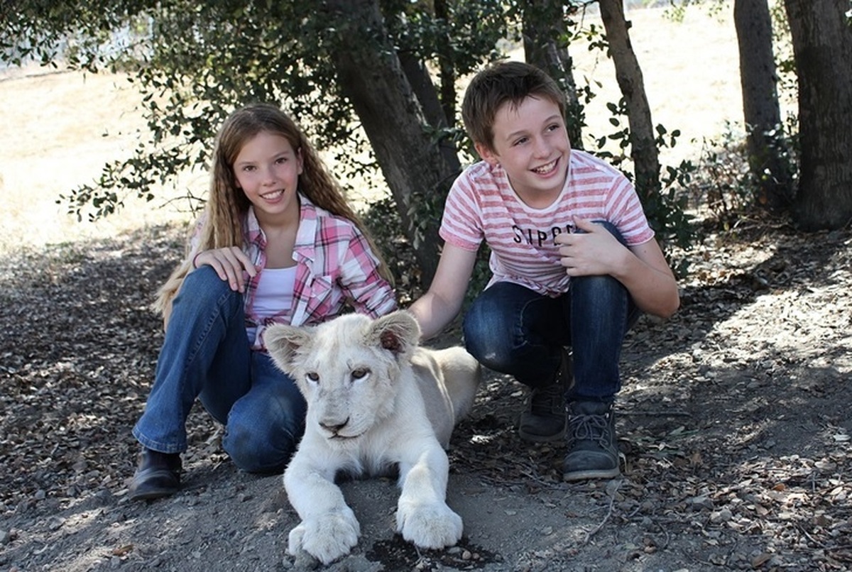 «رویای جیمی» بزودی در شبکه امید