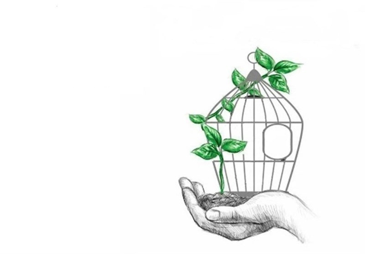 در اقدامی انسان‌دوستانه و در راستای کمک به خانواده‌های نیازمند، موقوفه عام گلشهر (حاجی ترخانی) با اهدای مبلغ ۵۰۰ میلیون تومان، به آزادی ۱۲ زندانی جرائم غیرعمد از زندان‌های استان البرز یاری رساند.