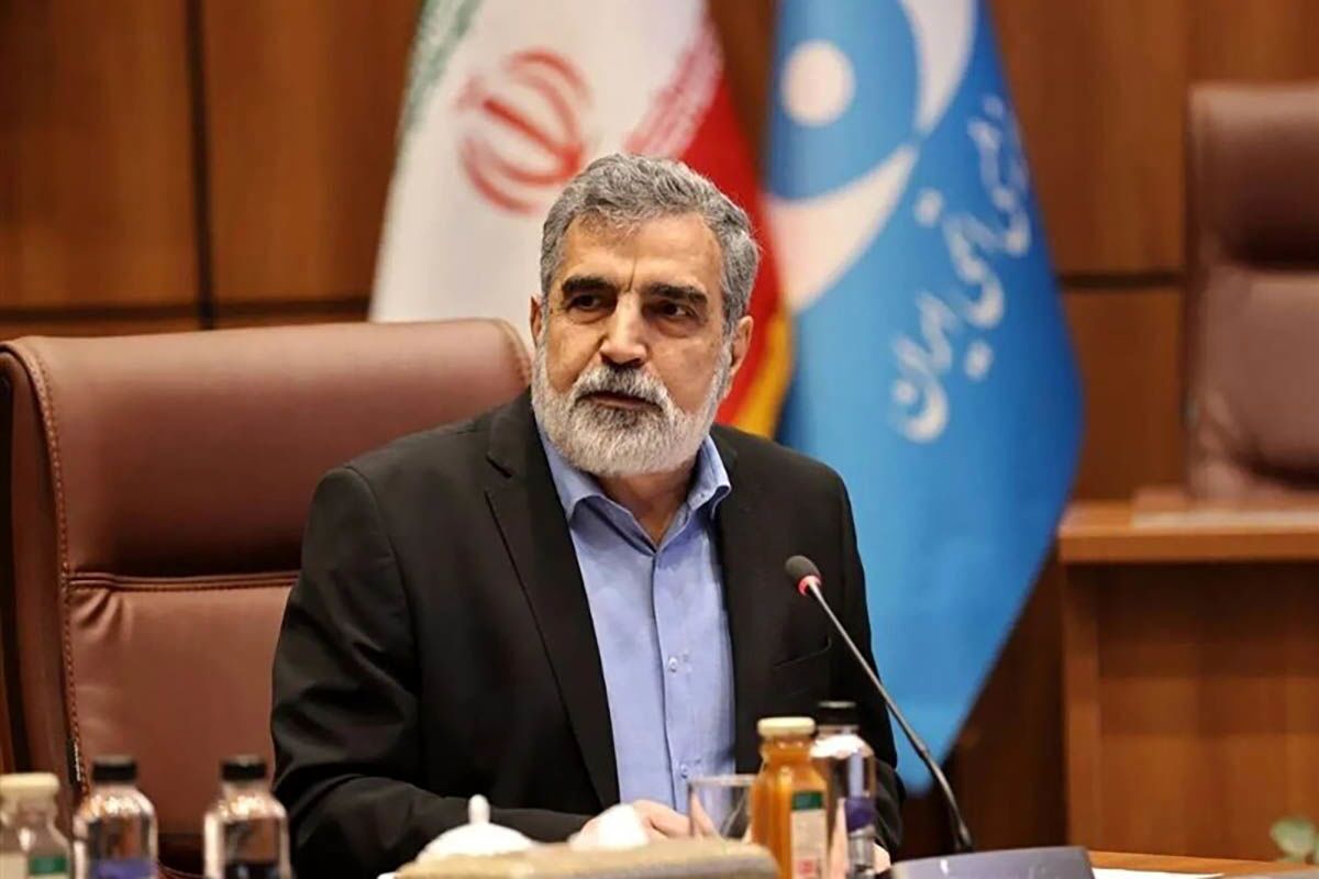 سخنگوی سازمان انرژی اتمی گفت: بازرسی‌هایی که بعد از حملات نظامی ار سایت‌های هسته ای انجام گرفته با نظر شورای عالی امنیت ملی و مربوط به بخش‌هایی است که به آنها حمله نشده است.