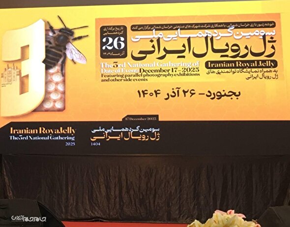 ضربه سنگین ملکه قاچاق بر صنعت زنبورداری کشور