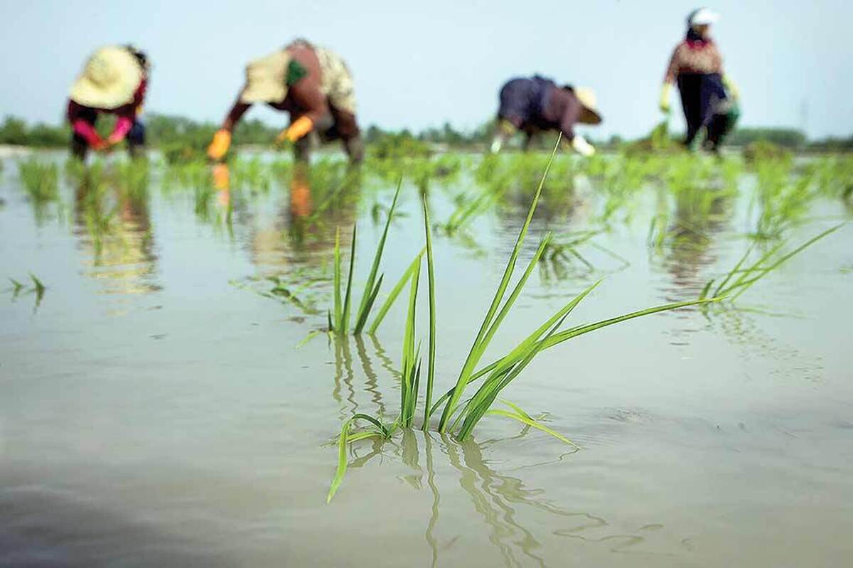 استان کهگیلویه و بویراحمد، قرار گرفته در میان رشته‌کوه‌های زاگرس، با طبیعتی بکر در جنوب‌غرب ایران و مساحتی حدود ۱۶ هزار کیلومترمربع در همسایگی استان‌های چهارمحال و بختیاری، خوزستان، بوشهر، فارس و اصفهان است.