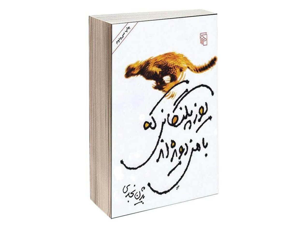 نویسندگان زیادی نیستند که کاراکترهای داستان‌شان شاعرانه حرف بزنند و در یک جمله یک تصویر را به نمایش بگذارند. از طرف دیگر، داستان‌های کوتاه زیادی هم نیستند که بعد از خواندن‌شان و به‌خاطر فضا و اتمسفر روایت، مخاطب تا مدت‌ها درگیر داستان بماند اما بیژن نجدی در مجموعه داستان «یوزپلنگانی که با من دویده‌اند‌» هردوی این کارهای بدیع و سخت را انجام داده.