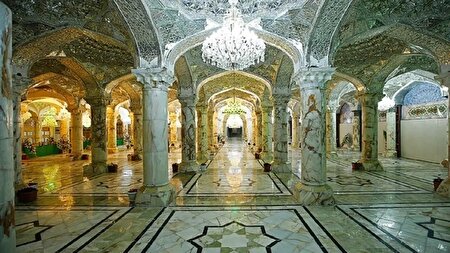 ببینید |  صحن حضرت فاطمه (س) در نجف اشرف افتتاح شد