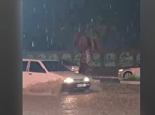 ببینید | طوفان شدید در هرمزگان