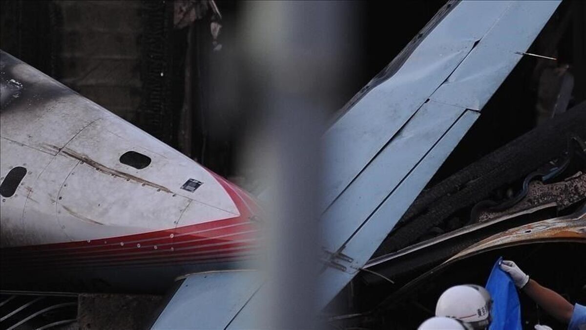 به گفته پلیس فرودگاه لس‌آنجلس، یک هواپیمای کوچک ربوده شده در فرودگاه لس‌آنجلس سقوط کرده است.