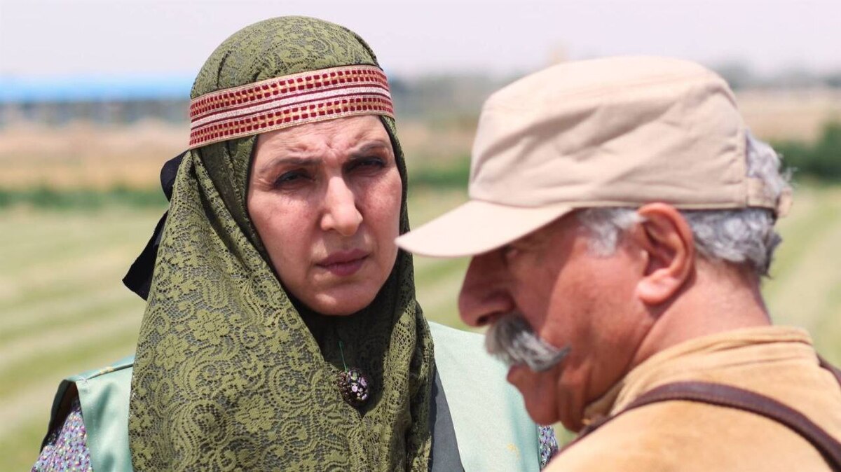 سریال «روزی روزگاری آبادی» با نگاهی طنزآمیز به مسائل امنیتی و اقتصادی در حوزه کشاورزی، تازه‌ترین سریال تلویزیون به شمار می‌رود که از آنتن شبکه یک سیما در حال پخش است. حسن وارسته، نویسنده این اثر، در گفت‌وگویی درباره نحوه شکل‌گیری ایده، روند نگارش و همکاری با کارگردان این سریال توضیحاتی داده است.