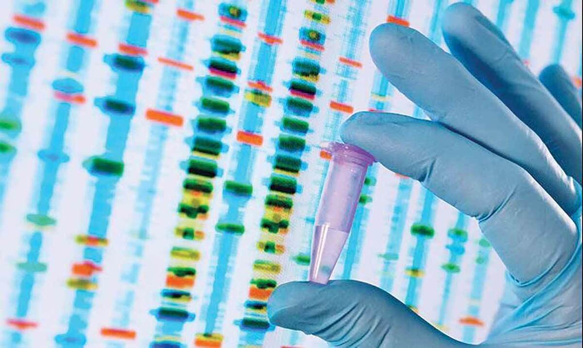 مفهوم تبار ژنتیکی همواره کنجکاوی انسان‌ها را برانگیخته است. شرکت‌های مشهور بزرگی در جهان حالا این کنجکاوی را به یک صنعت چندمیلیارد دلاری تبدیل کرده‌اند؛ جایی که افراد می‌توانند بفهمند «جنوب اروپایی»، «شرق آسیایی»، «بریتانیایی ــ ایرلندی» یا «آفریقایی» هستند.