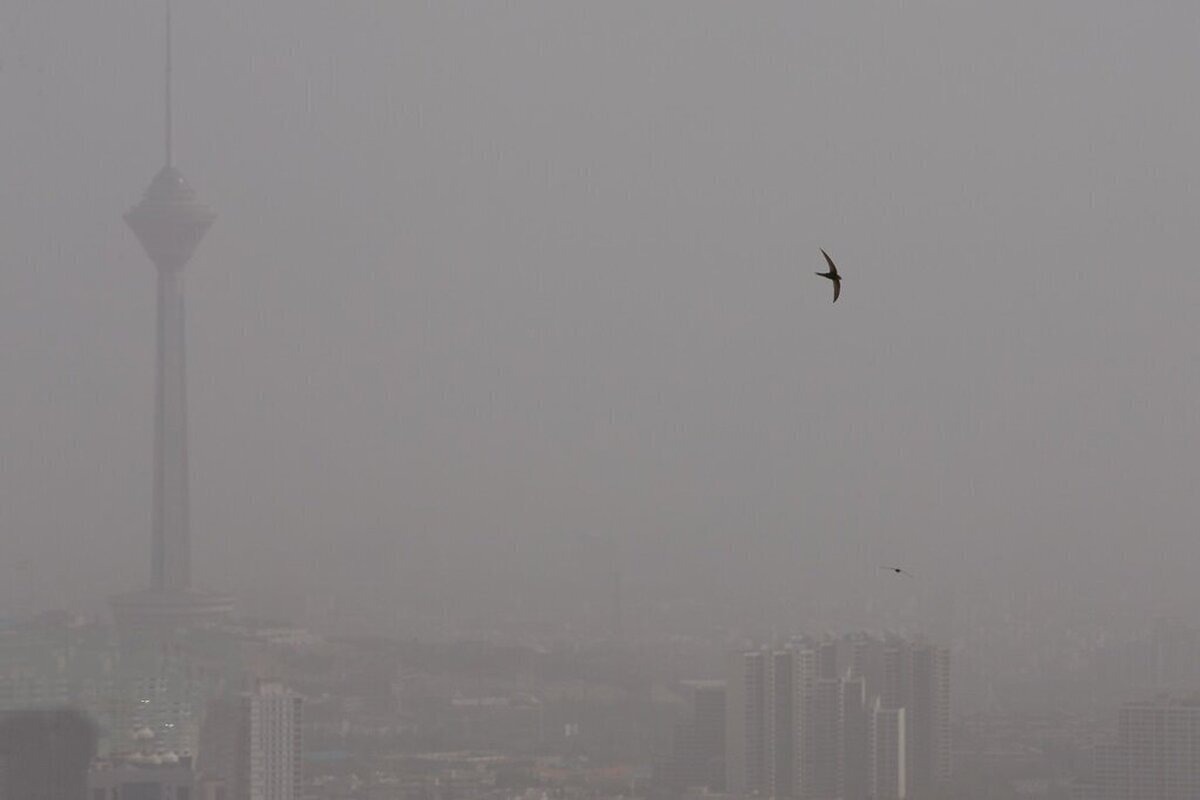 اداره کل هواشناسی استان تهران از تداوم سرما و افزایش آلودگی هوا طی هفته جاری خبر داد.