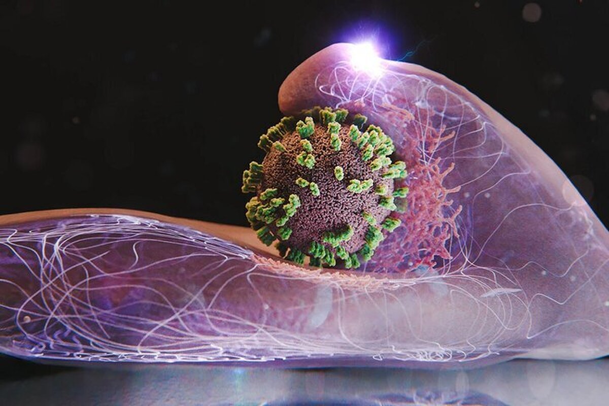 رئیس مرکز روابط عمومی و اطلاع‌رسانی وزارت بهداشت از مهار کامل موج شدید آنفلوآنزا در اغلب استان‌ها تا اواسط هفته جاری خبر داد.