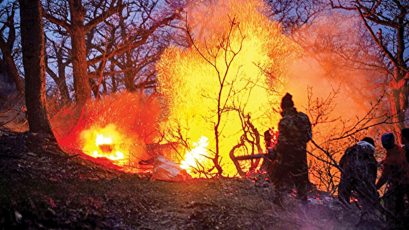 قاتل جنگل های هیرکانی عامل انسانی تشخیص داده شد