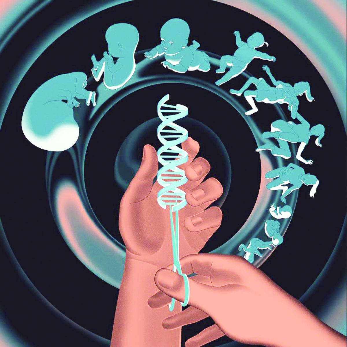 همه داستان‌ها درباره کودکان ویرایش ژنتیکی با «هه جیان‌کویی» آغاز می‌شوند، دانشمند چینی سرکش که در سال ۲۰۱۸ اعلام کرد به‌طور مخفیانه اولین نوزادان ویرایش‌شده جهان را خلق کرده است. اقدام بی‌پروا و غیرقانونی او ممکن است به‌زودی به حاشیه برود؛ زیرا تلاش‌های جدیدی برای ایجاد نوزادان ویرایش‌شده آغاز شده است، این بار با حمایت و سرمایه‌گذاری میلیاردرهای سیلیکون‌ولی.