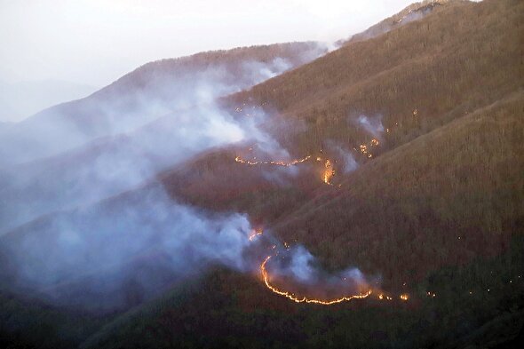 دود از جنگل‌ها بلند است