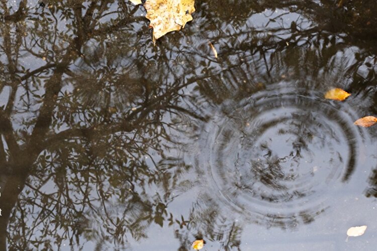 بارش پراکنده باران در سواحل دریای خزر و خراسان شمالی