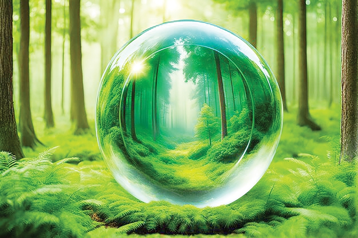 وقتی آخرین شعله‌های آتش‌سوزی‌های مهیب خاموش می‌شوند، سکوتی ترسناک جنگل را فرامی‌گیرد. آنچه باقی مانده، تلی از خاکستر، خاکی عقیم‌ و اکوسیستمی فروپاشیده است. در گزارش دیدیم چگونه ماهواره‌ها و سنسورها به جنگ هیولای آتش می‌روند، اما داستان اینجا پایان پیدا نمی‌کند. چالش اصلی پس از خاموشی آغاز می‌شود: چگونه می‌توان میلیون‌ها هکتار زمین سوخته را، پیش از آن‌که فرسایش خاک و گونه‌های مهاجم آن را نابود کنند احیا کرد؟