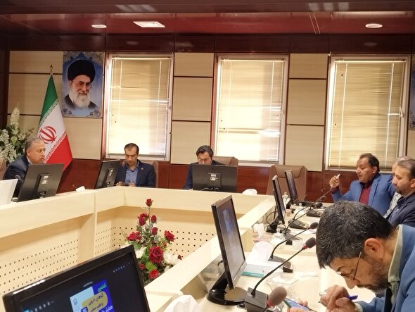 ۴۲۴ مقاله به دبیرخانه ششمین همایش گیاهان دارویی و طب سنتی تربت‌حیدریه رسید