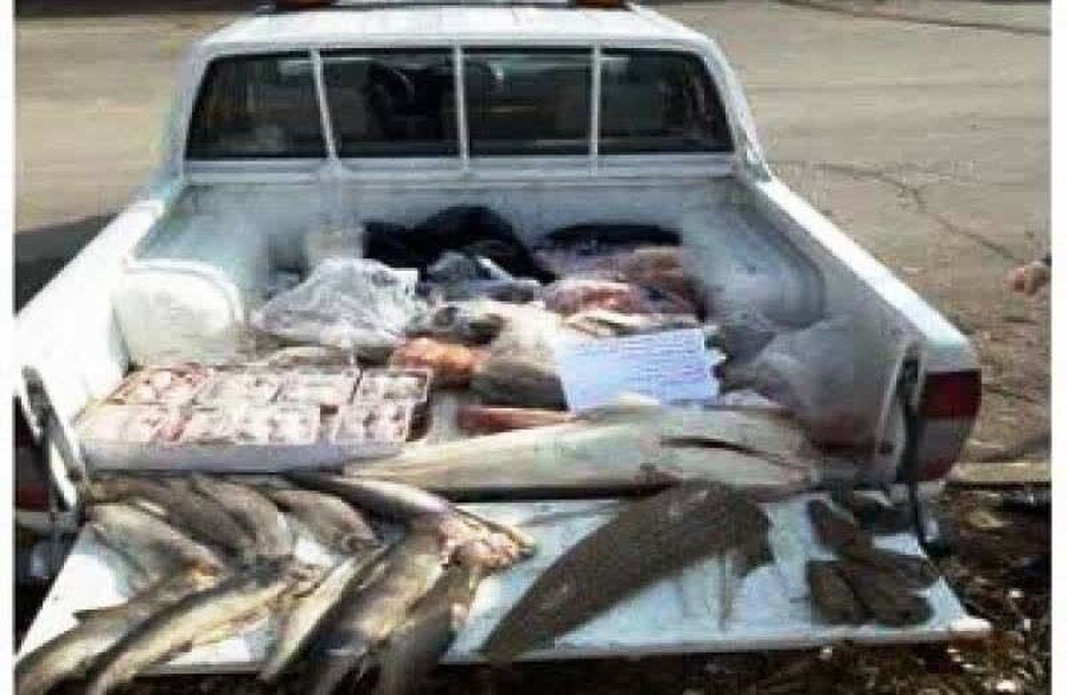 اداره دامپزشکی شهرستان قزوین برخورد با دستفروشی ماهی را در دستور کار دارد.