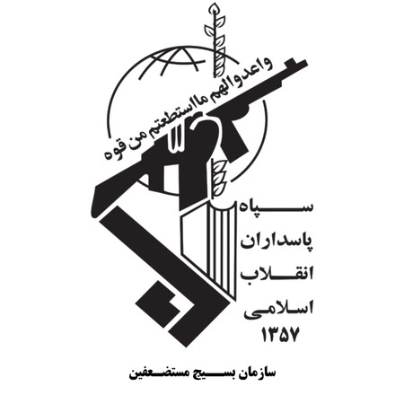 پزشکان ایرانی در خط مقدم دفاع از ایران هستند