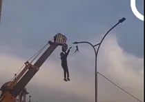 بینید | نجات عجیب پرنده!