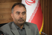 عملیات مبارزه با آفت سن گندم در ۲۹۷ هزار هکتار از مزارع آذربایجان‌غربی اجرایی شد