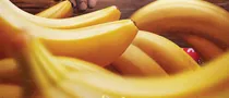 فیلم‌هایی که درخشیدند